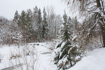 Winter landscape. River and forest 