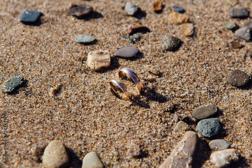 Two Wedding Rings In The Sand On The Beach Stock Photo And Royalty