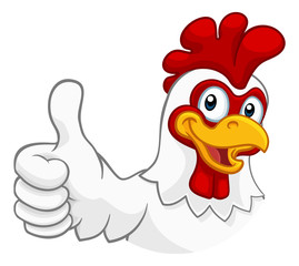 A chicken cartoon rooster cockerel character mascot giving a thumbs up.