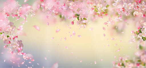 Obraz na płótnie Canvas Spring Blossom Background