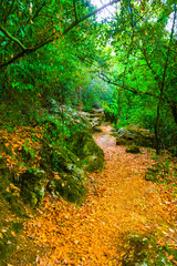 Lakeside walk in Kursunlu nature park, Aksu, Turkey