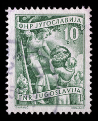 Stamp printed in Yugoslavia shows fruit rowing, domestic economy series, stamp for surcharges, circa 1952