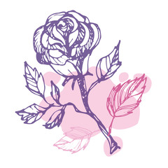 Rose art - hand drawn doodle floral set