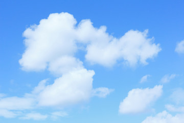 さかなのいる空