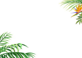 White background with palm leaves and flower