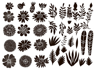 Set of herbs and flowers12 - obrazy, fototapety, plakaty