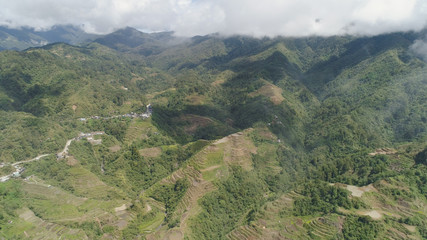 Obraz premium Aerial view of rice terraces on the slopes of the mountains, Banaue, Philippines. Rice cultivation in the North Batad. Mountains covered forest, trees. Philippine Cordilleras.