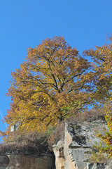 Herbststimmung am Steinbruch