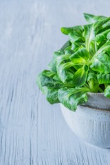 Frischer Feldsalat in einer Schüssel auf einem hellen Holzuntergrund