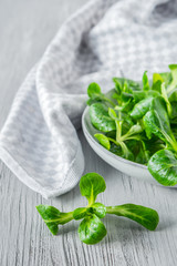 Frischer Feldsalat in einer Schüssel auf einem hellen Holzuntergrund