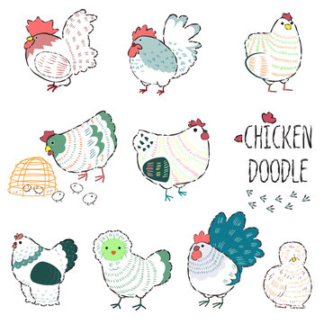 Chicken in Farm Line doodle