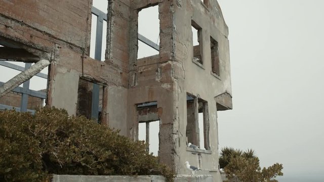 Tilt up shot of ruins and green bushes on Alcatraz island, USA