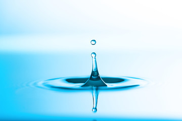 Splash of the falling drops of water