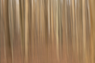 Blurred Abstract Trees