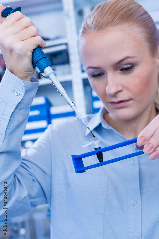 Wall mural Female technician in laboratory of genetics - reprogenetics. Young technician use dispenser for pipetting PCR strips