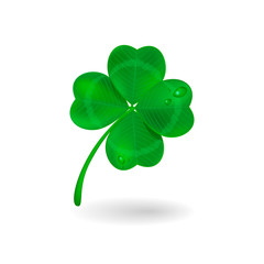 Realistic four-leaf clover illustration