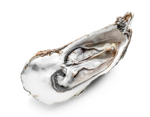Fresh raw oyster on white background