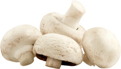 White button mushrooms