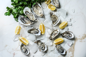 Tasty raw oysters with ice and lemon on light table