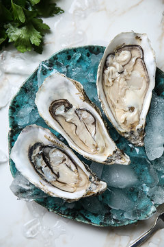 Plate with tasty cold oysters on light table