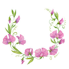 wreath of sweet peas watercolor illustration, pink flowers