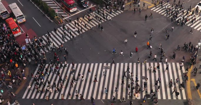 High angle view of people walking across street at Shibuya Crossing in Tokyo