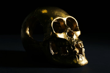 Golden human skull on dark background