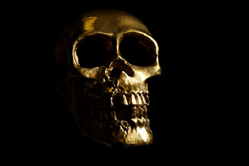 Golden human skull on dark background