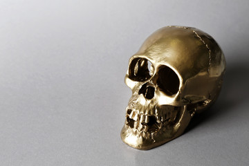 Golden human skull on grey background