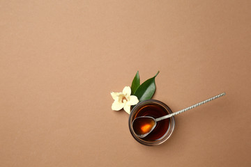 Bowl with vanilla extract on color background