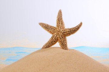 Fototapeta na wymiar Starfish on Sand