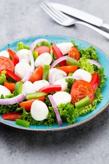 Vegetable salad with cheese mozzarella, tomatoes, basilikum and spice.