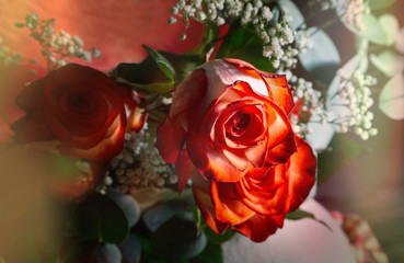 Rose per San Valentino