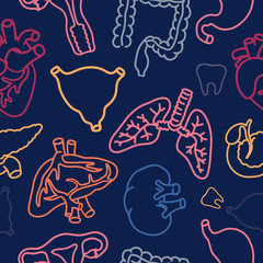 Human internal organs including heart, liver, kidney, uterus, bladder, pancreas; eye, intestines, stomach, tooth. Vector seamless pattern. Line art medicine cartoon doodle icons.