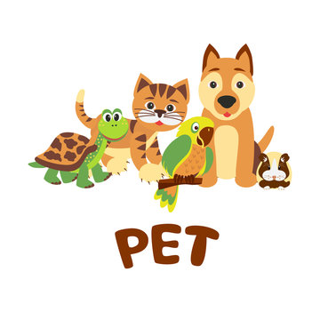 Home pets sitting in line: cat, dog, hamster, parrot and turtle. Vector cartoon illustration.