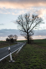 Strasse mit Baum und Himmel