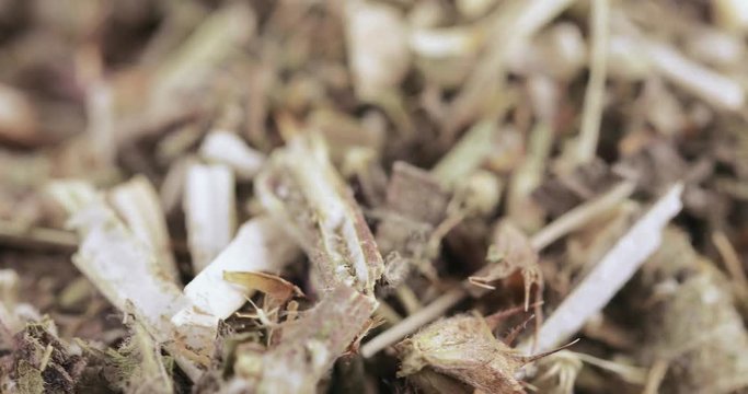 Motherwort grass in bulk