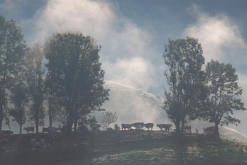 Fototapeta premium foggy summer landscape in the mountains, Salciua, Romania