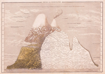 1839 Hall Map of the Mountains and Plants of America