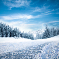 Winter background of free space for your decoration 