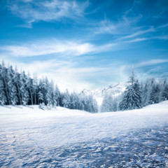 Fototapeta na wymiar Winter background of free space for your decoration 