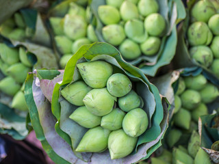 Lotus flower bundle in market