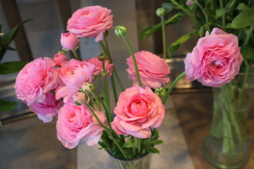 綺麗に咲いているピンク色のバラの花