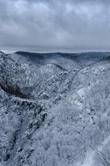 Bode valley in the Harz mountains during winter