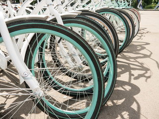 Classical white frame bicycles front wheels line side view in park