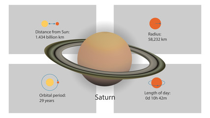 Saturn infographics vector. Planets of the Solar System vector illustration © alionaursu