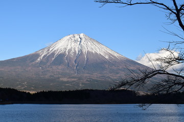 富士山　田貫湖