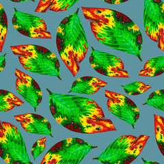 Fototapeta premium Drawing of half-dried leaves of different sizes and colors in a light blue color