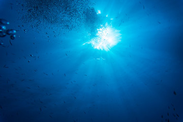 Fototapeta na wymiar Sea deep or ocean sunlight underwater