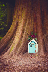 A small fairytale doorway into the trunk of a large tree.